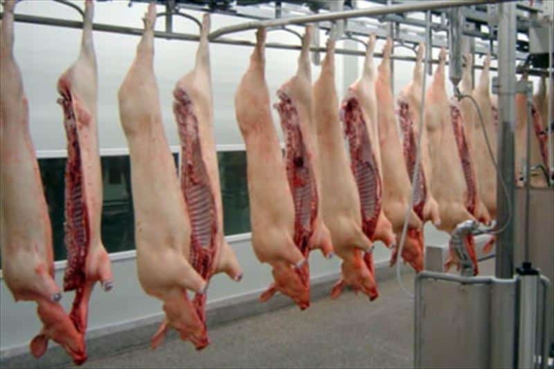 Bruselas descarta que la carne porcina con PPA confiscada en Macedonia del Norte sea española