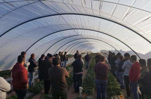 Convocadas ayudas a programas de formación dirigidos a los profesionales del medio rural