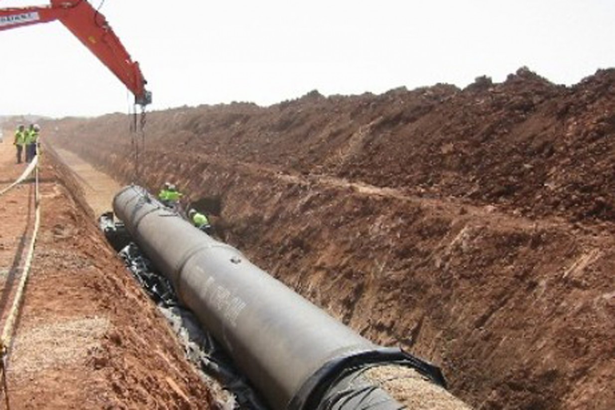 Parques Nacionales de Castilla-La Mancha pide trasvasar 20 Hm3 de agua del Tajo a las Tablas de Daimiel