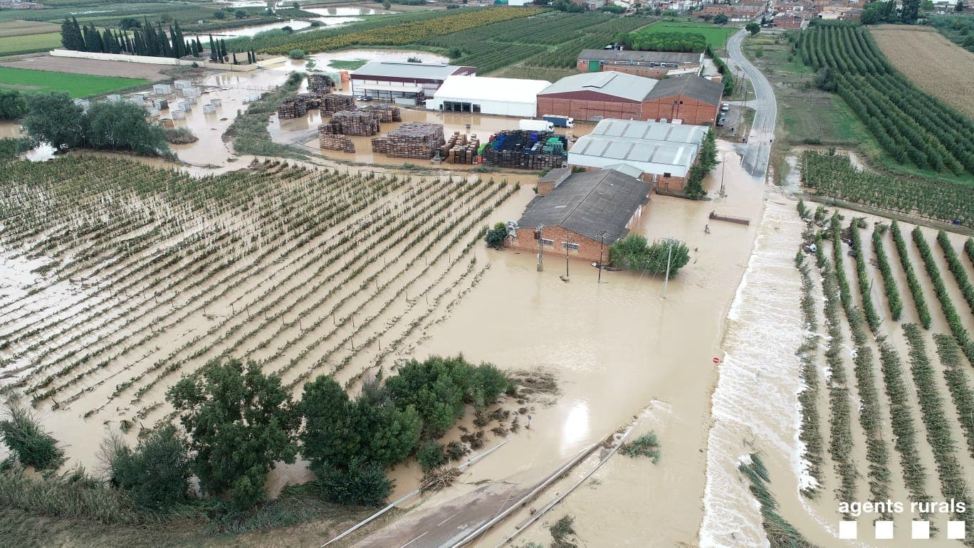 Les Garrigues y la Conca de Barberà fueron la comarcas catalanas más afectadas en el agro por la última DANA