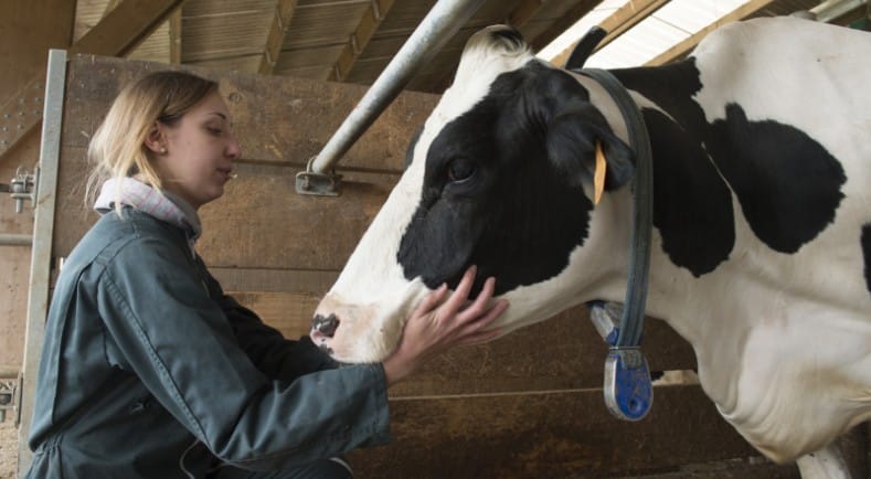 Pocos avances en la lucha contra los antimicrobianos, salvo en animales, en la UE