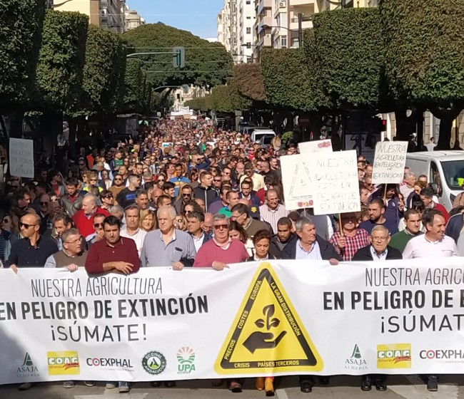 Más de 20.000 hortofruticultores se manifiestan en Almería bajo el lema «Nuestra Agricultura en Extinción»