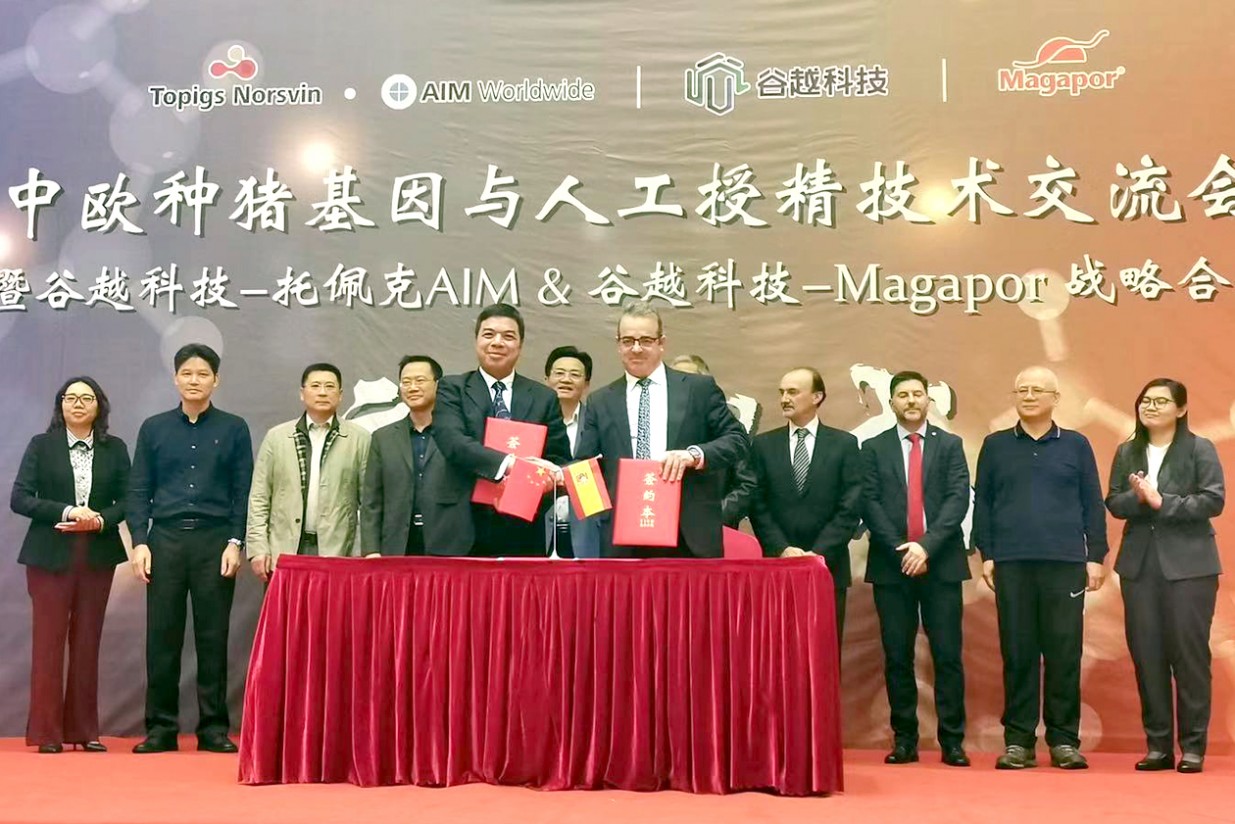 Magapor y Guyue firman un acuerdo para crear el mayor centro de reproducción porcina de China