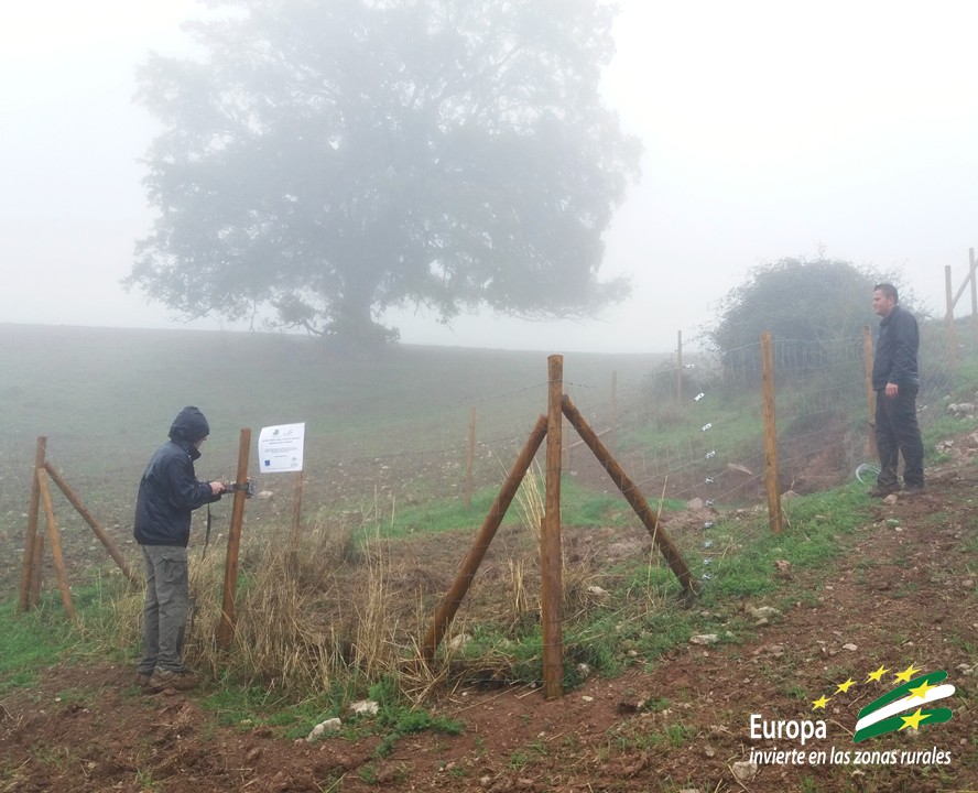 Innotuber evalúa las medidas de bioseguridad contra la tuberculosis bovina