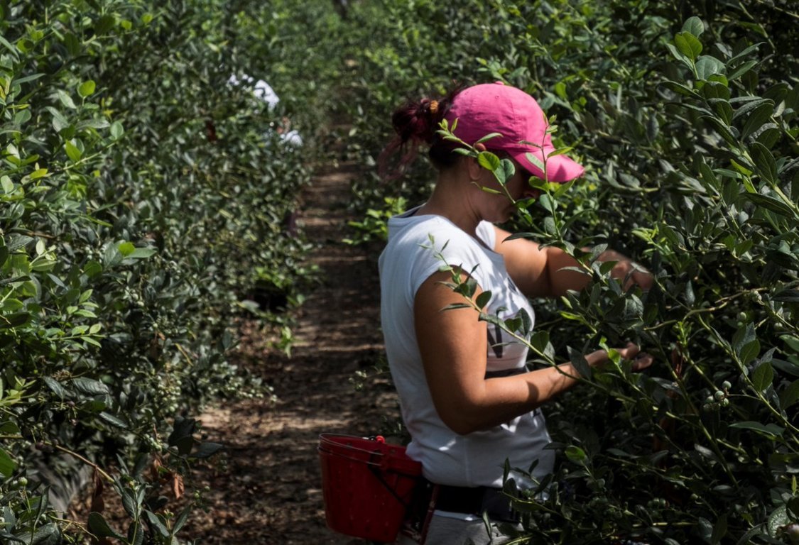 El CESE pide una PAC que contribuya eficazmente a la renovación generacional en el campo y el medio rural