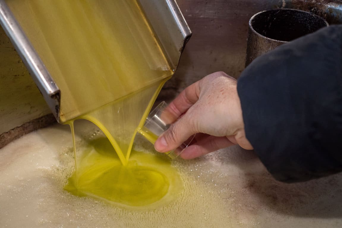 Salidas récord de 155.300 t de aceite de oliva al mercado en el primer mes de campaña 2019/20