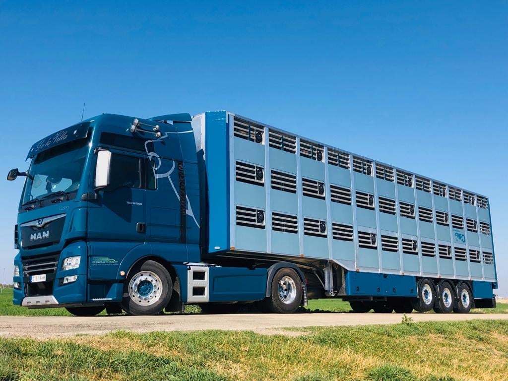 Nuevo RD para los centros de limpieza y desinfección de vehículos para transporte animal