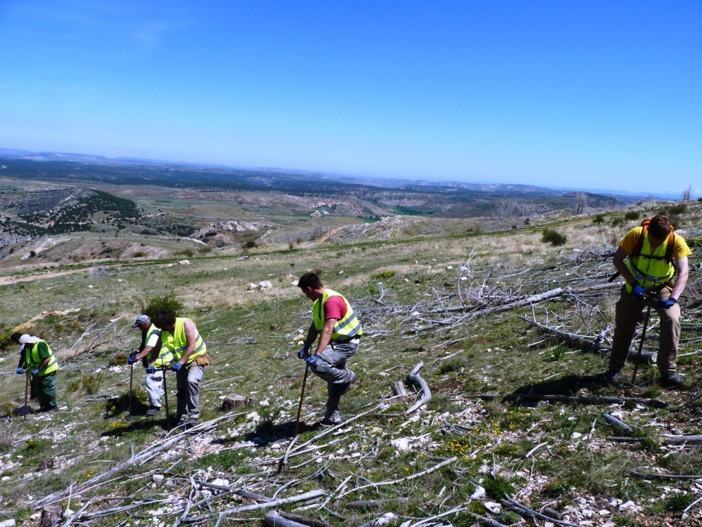 Perfil Ambiental de España: mejoran los principales indicadores