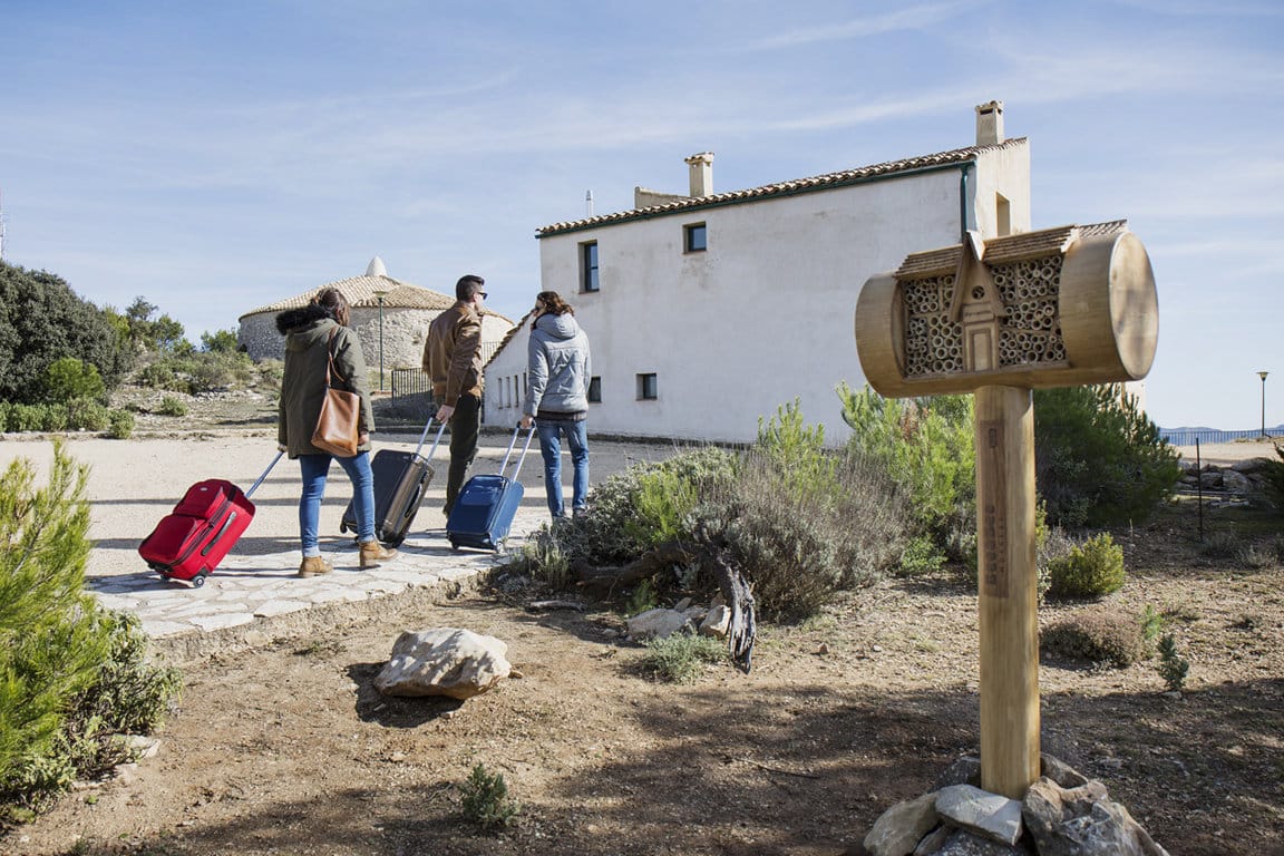 Turrones Picó pone en marcha la primera cadena de hoteles para abejas