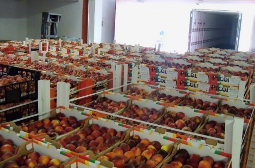 Los auditores europeos advierten del uso escaso de medidas para estabilizar ingresos agrarios
