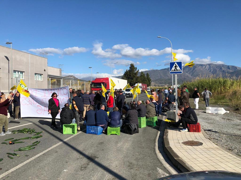 Agricultores convocados por COAG protestan por las importaciones sin control de frutas y hortalizas