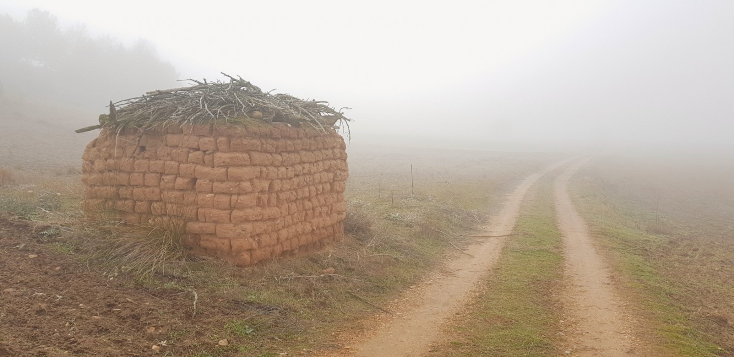 Las organizaciones agrarias piden a Sánchez que el MAPA mantenga las competencias en Desarrollo Rural