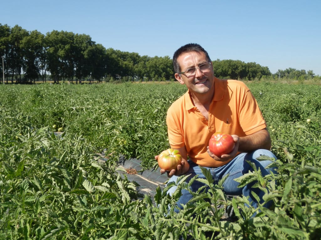 La exportación española de frutas y hortalizas se sitúa ya en los 13.400 M€