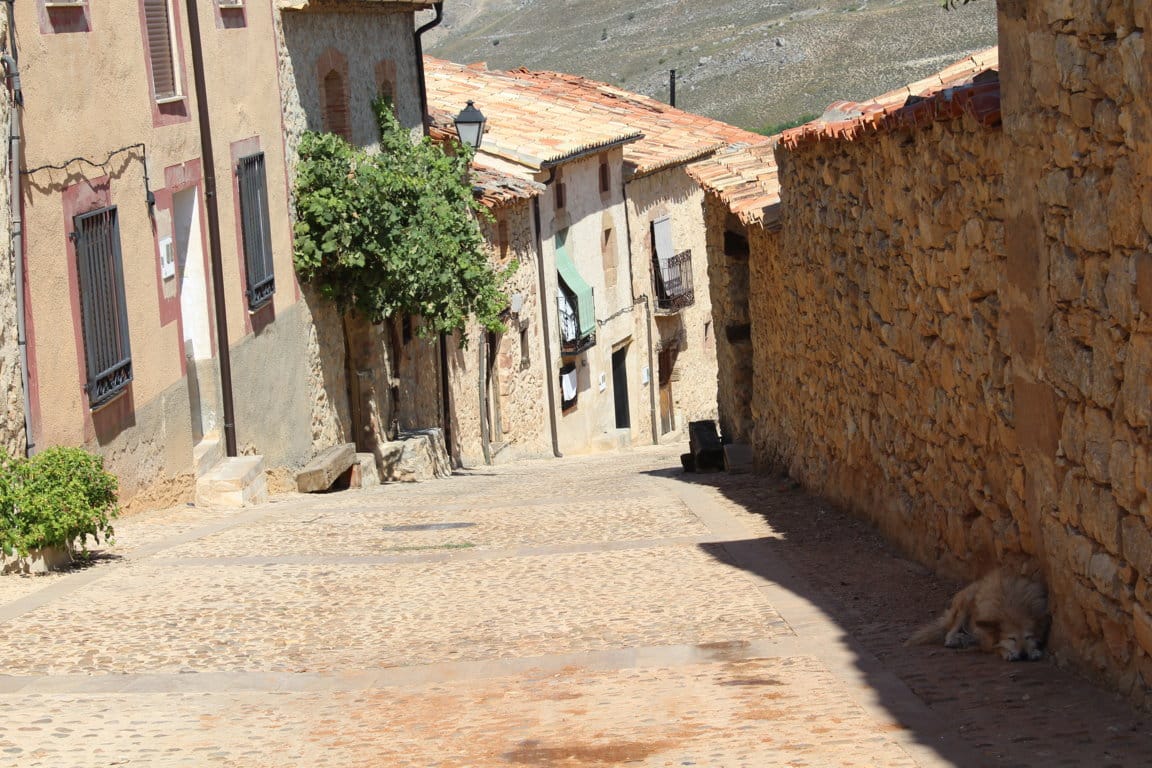 Serranía Celtibérica ofrece su colaboración para conseguir el equilibrio territorial