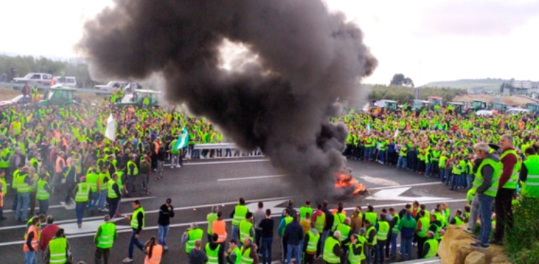 Planas convoca la Mesa de Diálogo Agrario en medio de las protestas de los agricultores