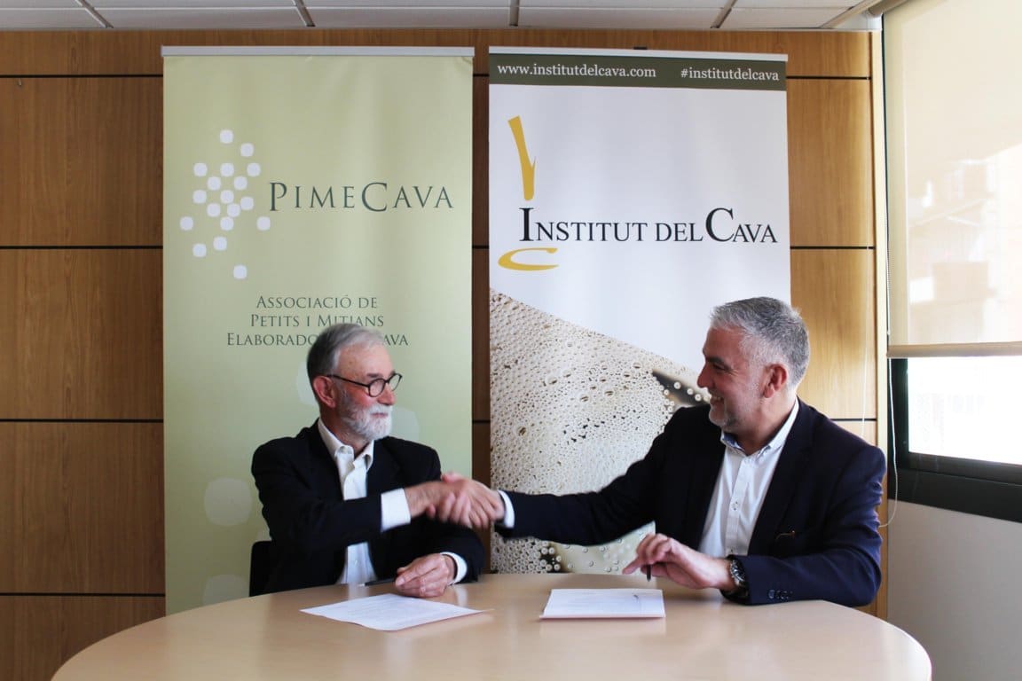 Elaboradores de cava vuelven a unirse en una única asociación: AECAVA