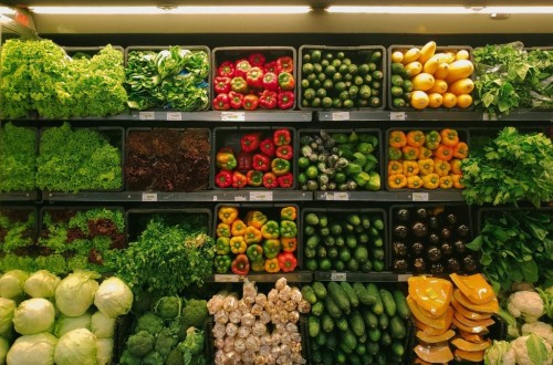 Ni los alimentos ni las mascotas son transmisores del virus Covid-19