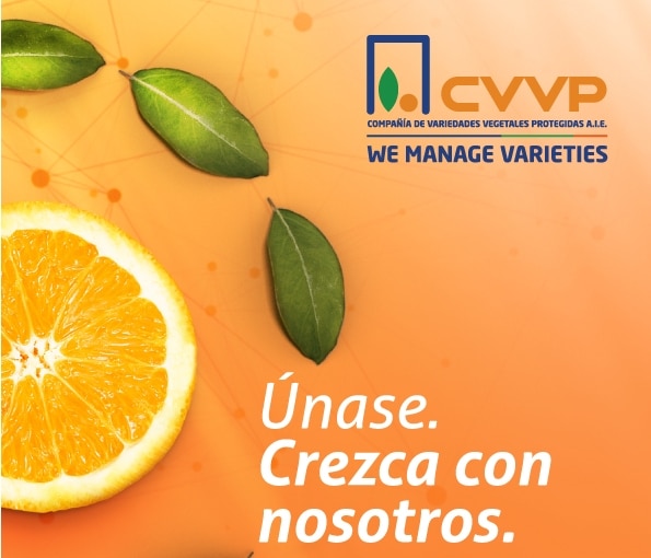 «Únase. Crezca con nosotros», la nueva campaña de CVVP