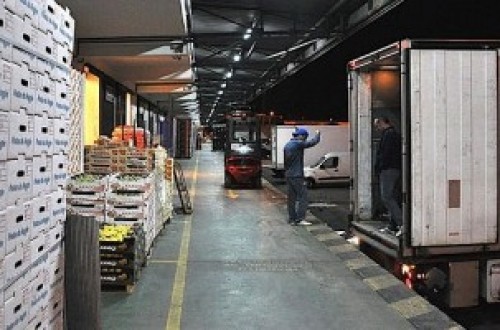 El sector hortofrutícola reclama a la CE que facilite el transporte por carretera