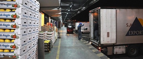 El sector hortofrutícola reclama a la CE que facilite el transporte por carretera