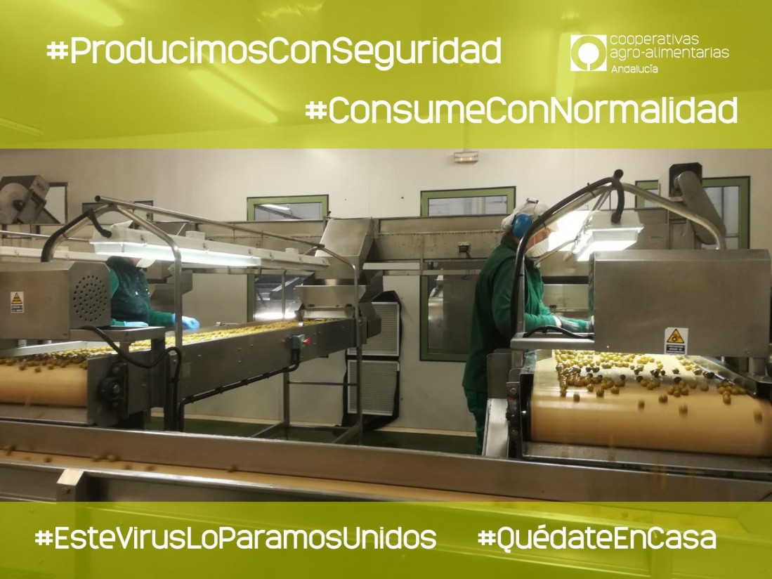 Cooperativas Agro-alimentarias de Andalucía lanza la campaña «Producimos con seguridad, consume con normalidad»