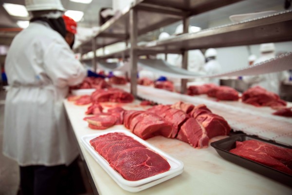 carne y productos cárnicos