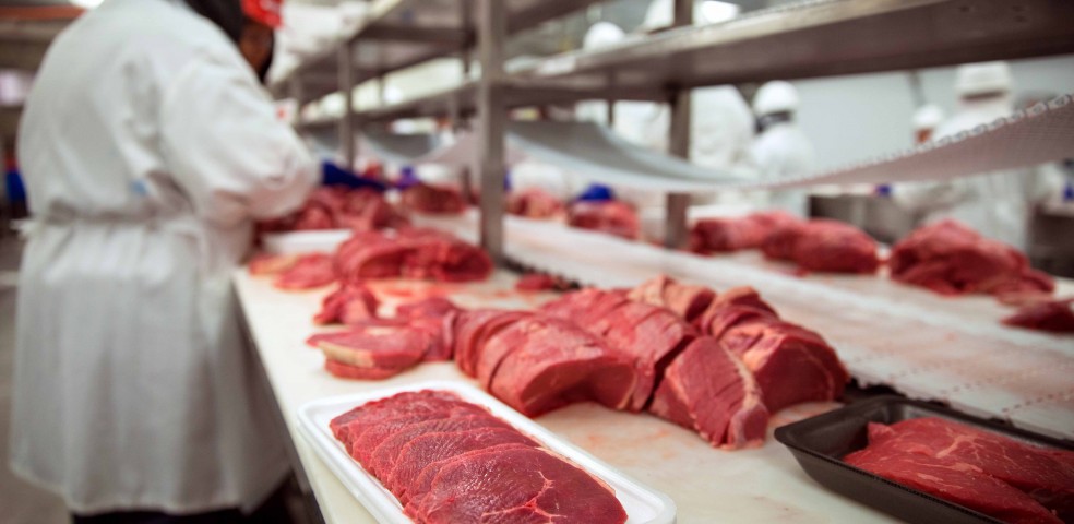 carne y productos cárnicos