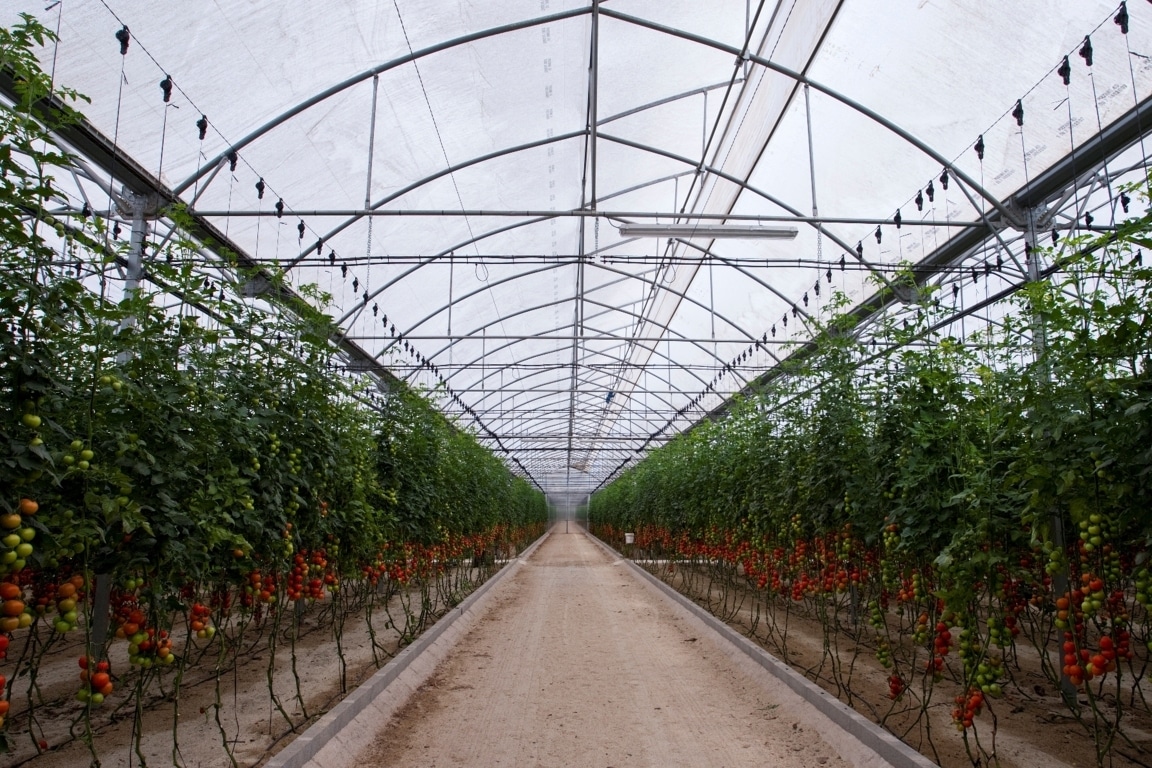 Hortiespaña pide al Gobierno que garantice el tránsito de trabajadores en el sector