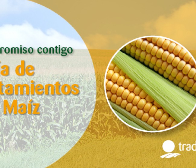 Nuevo catálogo Tradecorp de tratamientos anuales para el cultivo del maíz