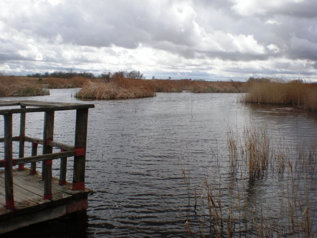 Las Tablas, sin agua, sin ningún interés político y total pasividad administrativa