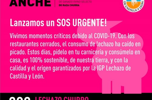 ANCHE lanza la campaña #HoyComproLechazo para fomentar el consumo en España