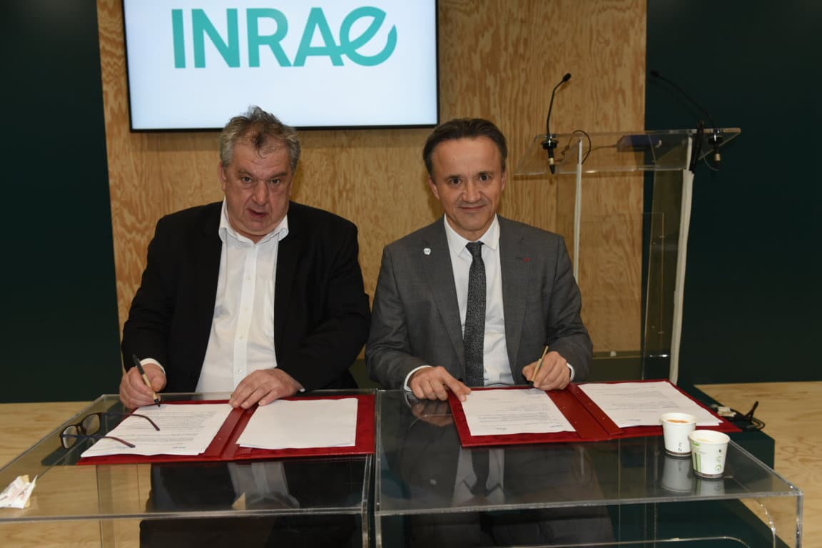 Olmix Group e INRAe firman un acuerdo para la promoción de algas en sistemas de producción ganadera y agrícola sostenibles