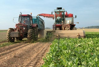 Covid-19: Francia anima a sus parados a unirse al «ejército de la agricultura»