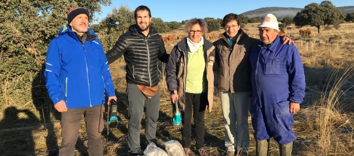 El CITA colabora con Castilla y León en el estudio de la correcta alimentación de las vacas nodrizas