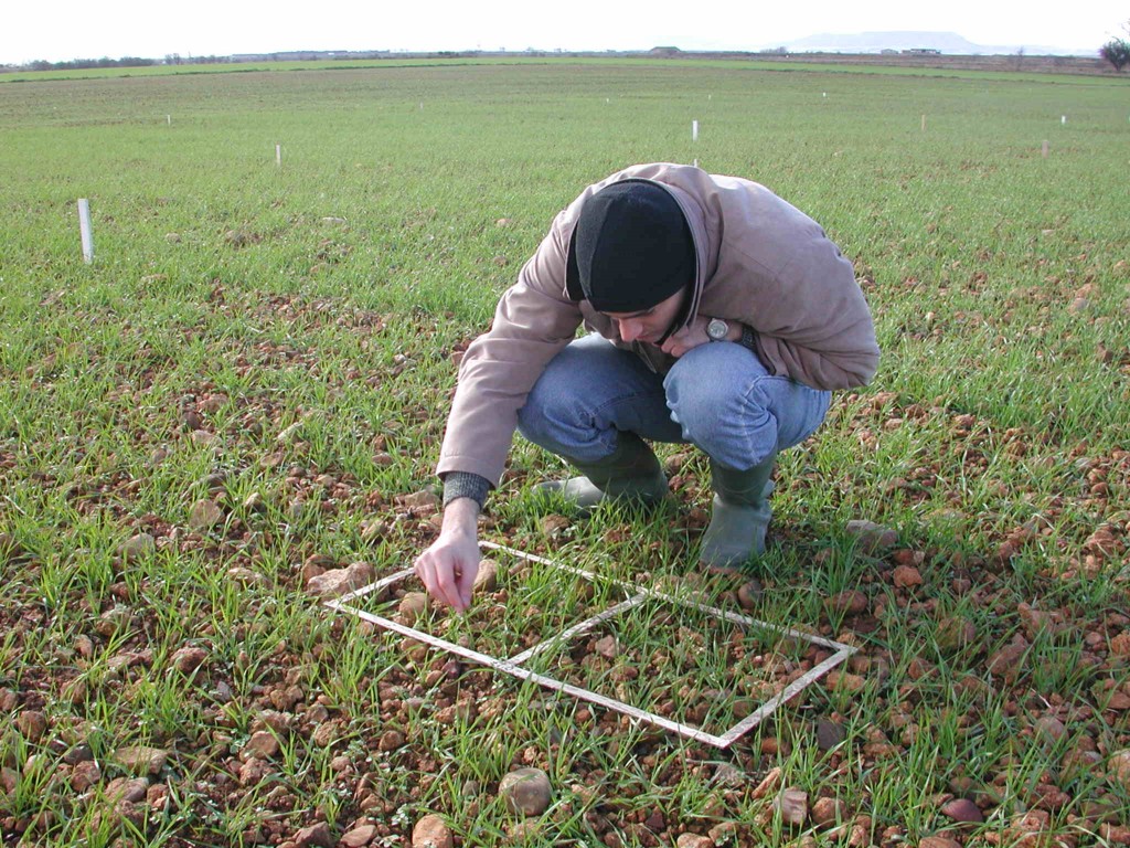 Los ingenieros agrónomos piden más fórmulas que contribuyan a mejorar las rentas de agricultores y ganaderos