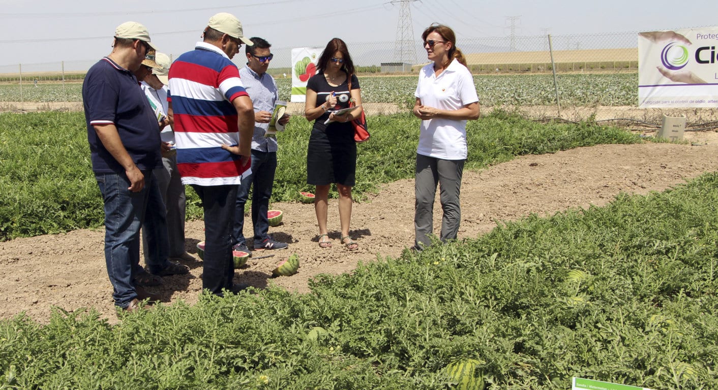 El sector agrario es donde menos cobran las mujeres, según los técnicos de Hacienda