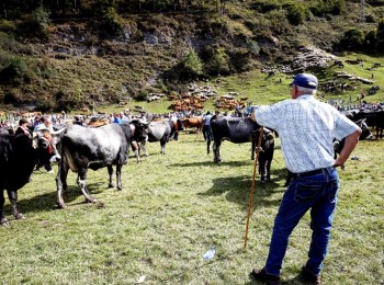 UPA-Murcia critica los plazos “inasumibles” para justificar ayudas