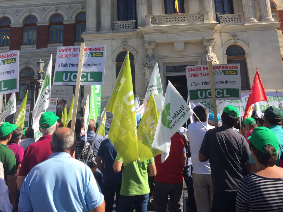 Unión de Uniones convoca el 26 de marzo a manifestarse ante el Ministerio de Agricultura