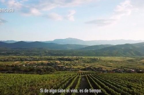 Si de algo sabe el vino es… de tiempo
