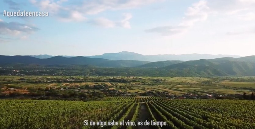 Si de algo sabe el vino es… de tiempo