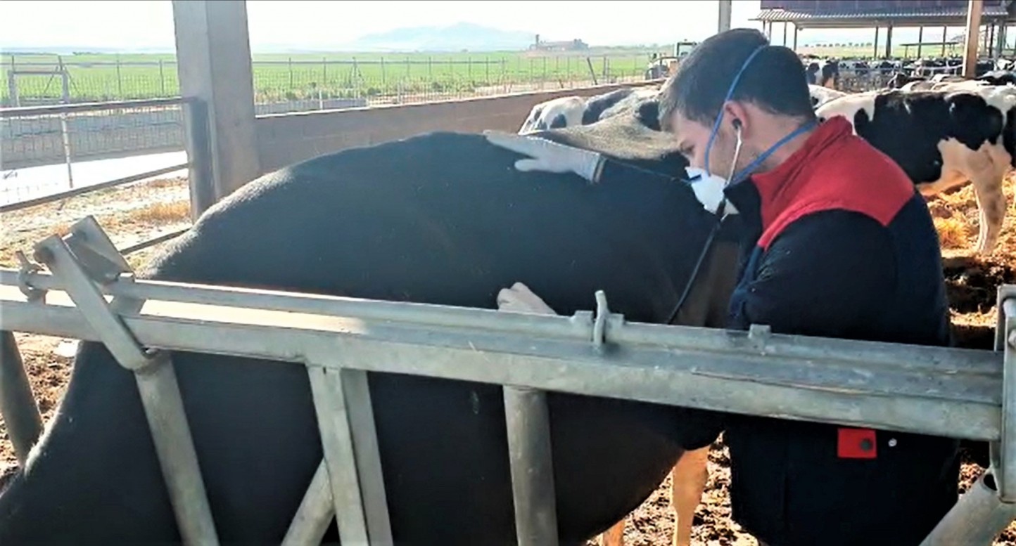 La Organización Colegial Veterinaria constituye un grupo de seguimiento del Covid-19