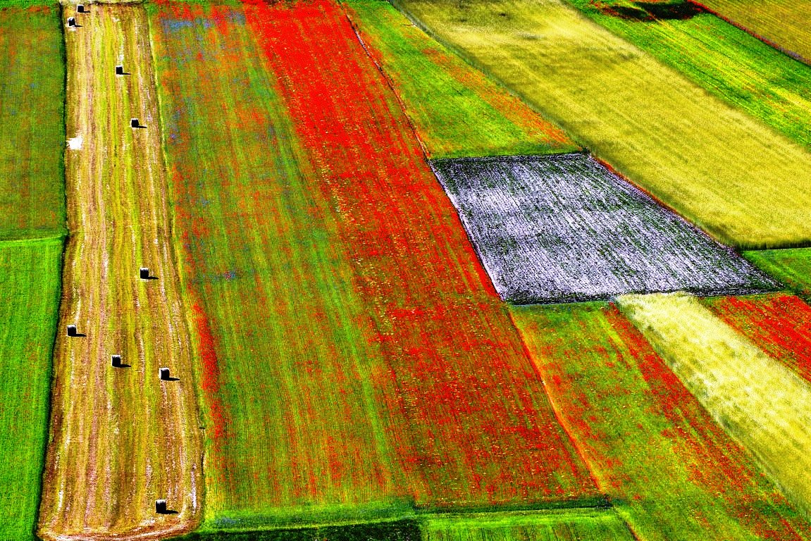 Los ministros de Agricultura de la UE reclaman medidas adicionales urgentes para el sector