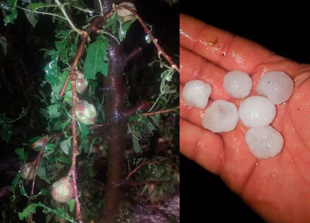 Daños en el regadío extremeño por el granizo y la lluvia