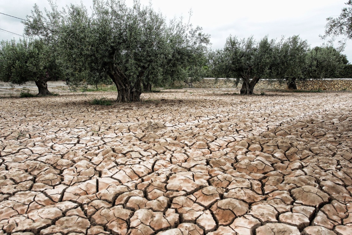 El BOE publica la orden de rebaja de módulos del IRPF para agricultores y ganaderos del ejercicio 2019