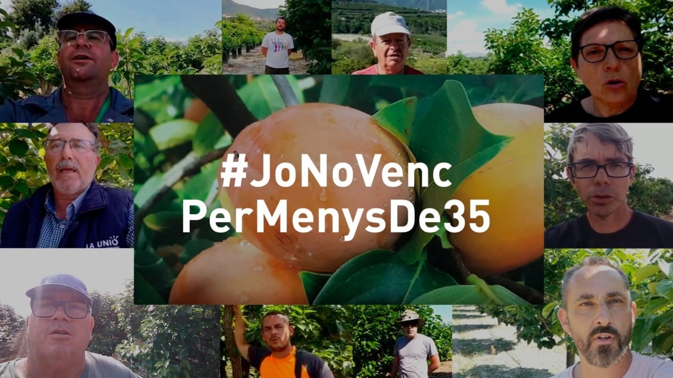 Poductores de caqui inician una campaña para que no se venda la cosecha por debajo de 0,35 euros/kg