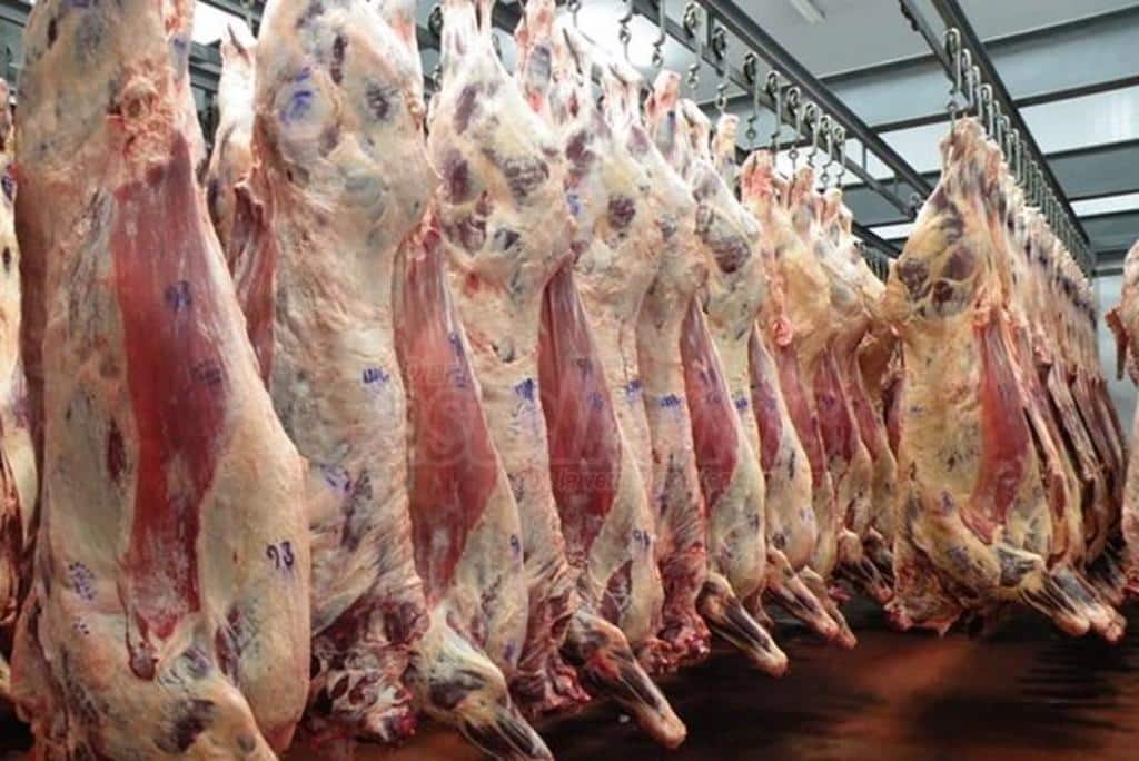 Solicitadas ayudas para almacenamiento privado de 46 t de carne de vacuno de España los días 7 y 8 de mayo