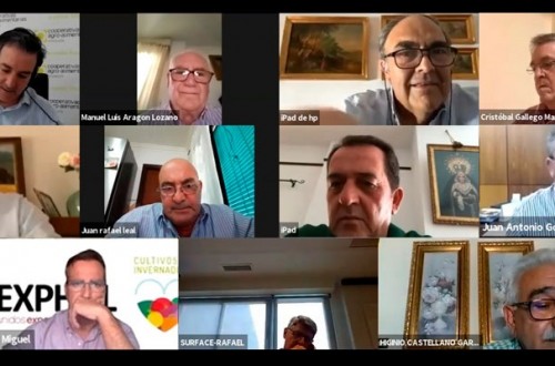 Cooperativas Agro-alimentarias de Andalucía, contra obligar a vender por encima de costes de producción