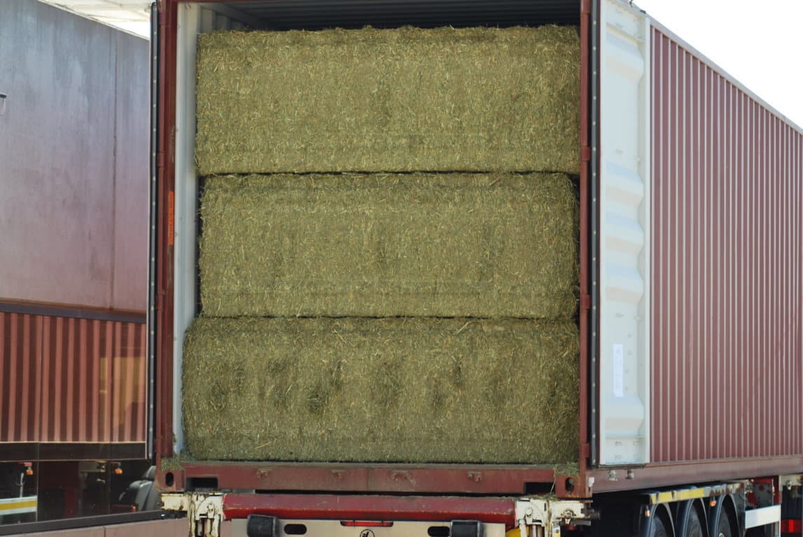Un 75% de la producción española de alfalfa deshidratada fue a parar al mercado exterior en 2019/20