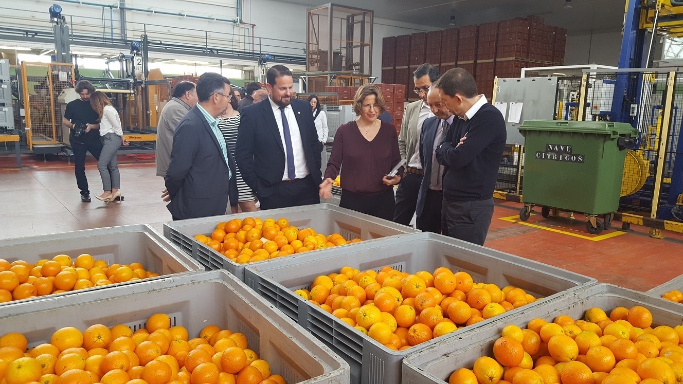 Los precios de las variedades tardías alivian una campaña citrícola 2019/20 irregular en la Comunidad Valenciana