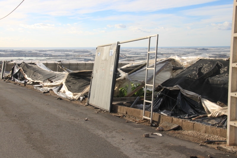 Cerca de 10 M€ en ayudas a explotaciones agrarias damnificadas por la DANA y otros siniestros en 2019